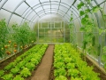4x4 m AGROMAX 6mm