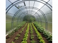 4x4 m AGROMAX 6mm