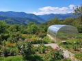 4x4 m AGROMAX 6mm