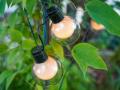 LED virtene WW-10