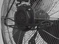 Grīdas ventilators HVF18-2