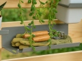 Plaukts GreenWALL