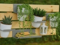 Plaukts GreenWALL