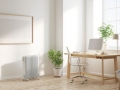 Eļļas radiators 2500 W