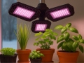 Fitolampa 108 LED