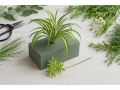 Floristikas oāze BRICK 22x10x7cm