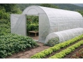 Plēves siltumnīca ATLAS 3x8 m