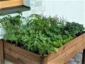 Raised bed with 6 sections