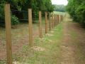 fencing-and-garden-stakes-17