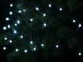 LED virtene GREEN CW-320