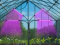 Fitolampa 4x20 LED