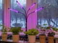 Fitolampa 4x20 LED