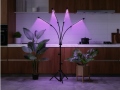Fitolampa 4x20 LED