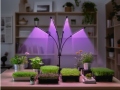 Fitolampa 4x20 LED