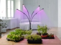Fitolampa 4x20 LED