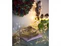LED virtene SILVER WW-100