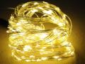 LED virtene SILVER WW-100