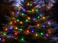 LED virtene BLACK MULTI-576