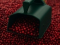 Ierīce ogu vākšanai BerryMaster