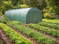Plēves siltumnīca NOVA 3x6 m