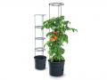 Tomatite pott Ø 39