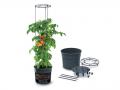 Tomatite pott Ø 39