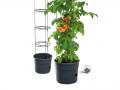 Tomatite pott Ø 39