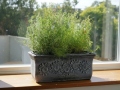 Flower pots PLANIKA S