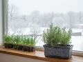 Flower pots PLANIKA S