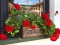 Flower pots PLANIKA S