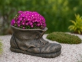 Lillepott SHOE