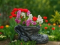 Lillepott SHOE