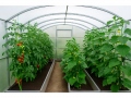 3x4 м Gardener'300 6мм