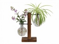 Glass Vase with Wooden Stand