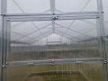 3x4 m VICTORIA Line 4mm