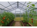 3x4 m VICTORIA Line 4mm