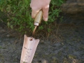Dārza lāpstiņa Copper