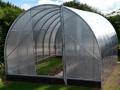 3x6 m COMFORT 4mm