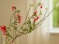 Lillepott Vaas Ikebana S