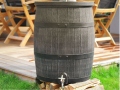 Ūdens tvertne ROTO 50 l