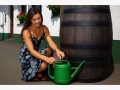 Ūdens tvertne ROTO 50 l