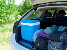 Aukstuma kaste Icetime 26 L Plus