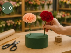 Флористическая губка SPHERE Ø 8см x10