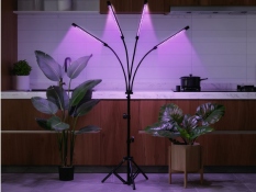 Fitolampa 4x20 LED