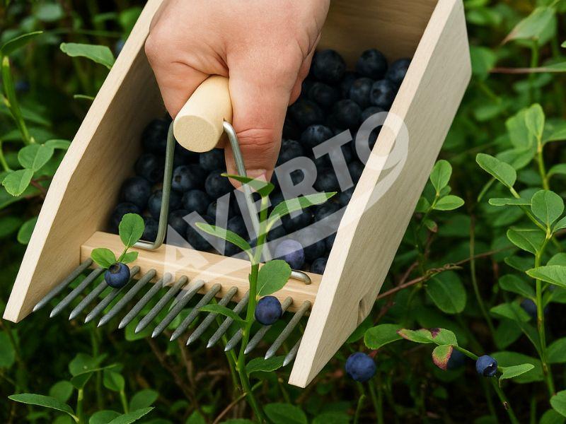Ierīce ogu vākšanai
