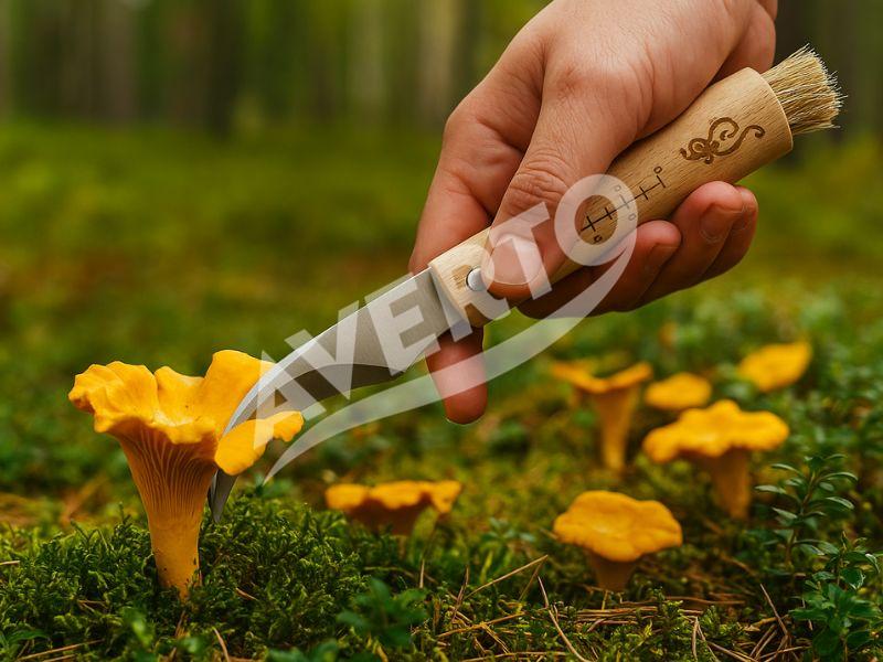 Mushroom knife with brush