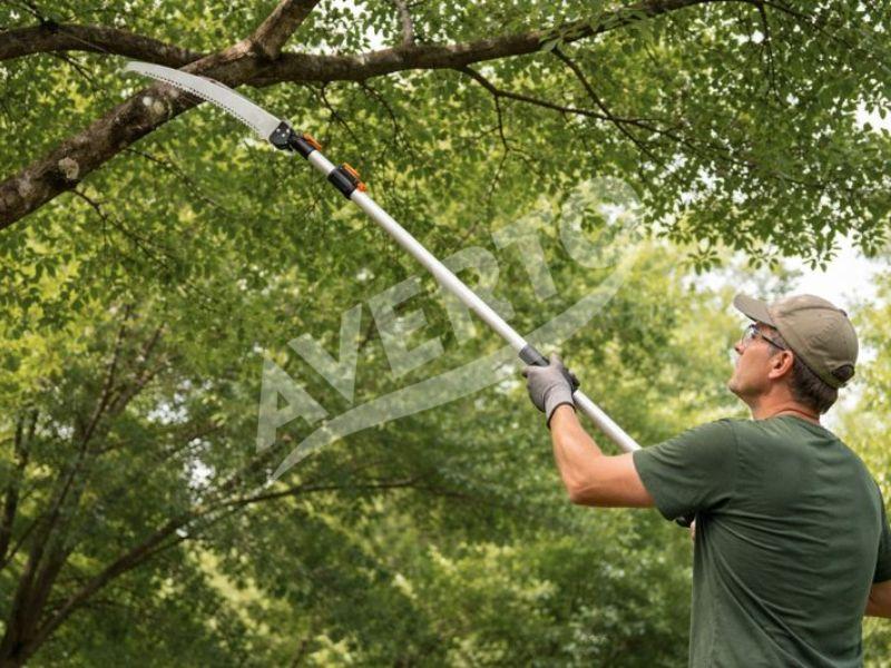 Zaru zāģis 2,4 m